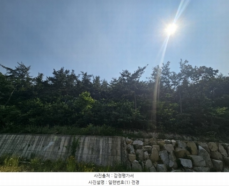 2024타경3424 경상남도 김해시 외동 산13-1 임야 경매 이미지