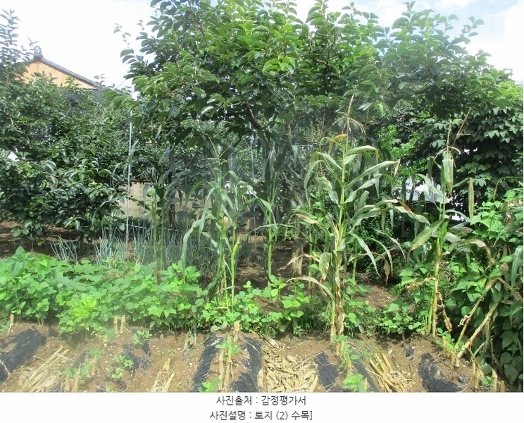 2021타경813 경상북도 경주시 강동면 단구리 334 대지 경매 이미지