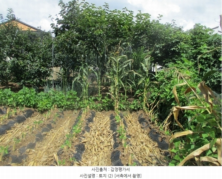 2021타경813 경상북도 경주시 강동면 단구리 334 대지 경매 이미지