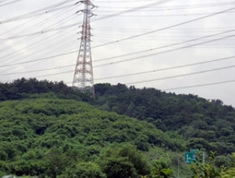 2024타경3912 경상남도 김해시 부곡동 산172 임야 경매 이미지