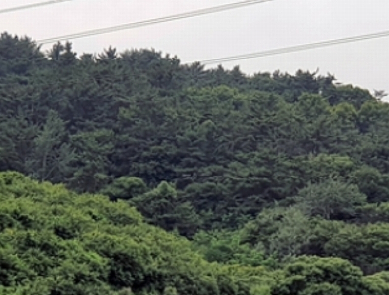 2024타경3912 경상남도 김해시 부곡동 산172 임야 경매 이미지