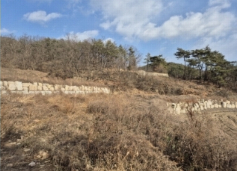 2024타경3967 경상북도 경주시 서면 심곡리 28 농지 경매 이미지