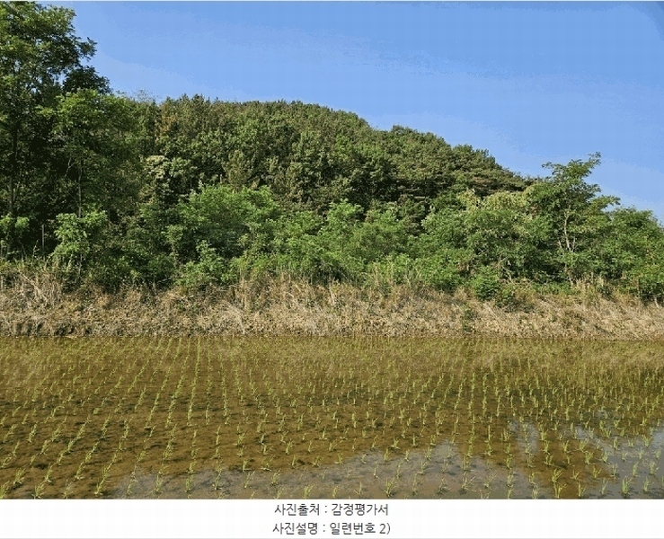 2025타경10524 경상북도 경주시 현곡면 금장리 155 농지 경매 이미지