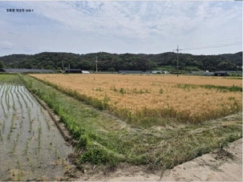 2025타경10536 경상북도 경주시 천북면 덕산리 353-1 농지 경매 이미지