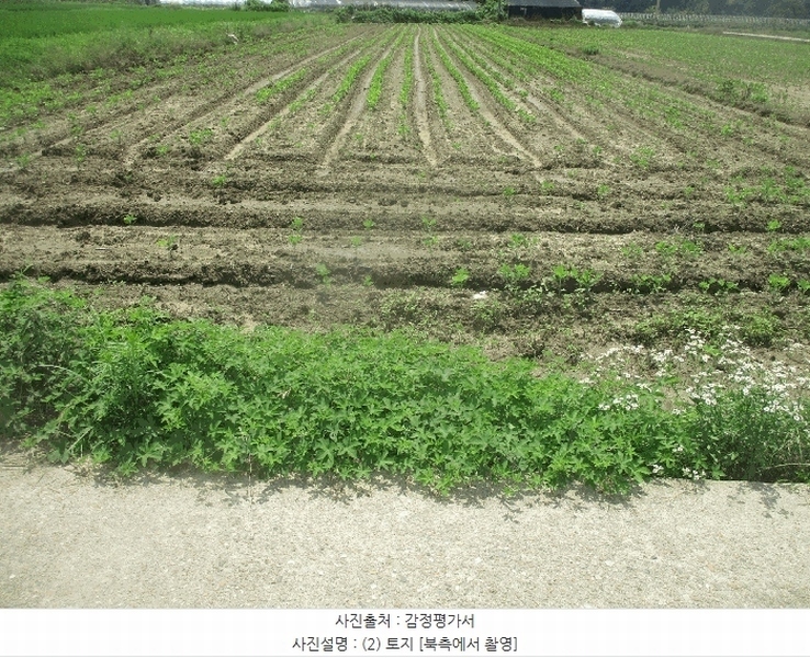 2025타경10536 경상북도 경주시 천북면 덕산리 353-1 농지 경매 이미지
