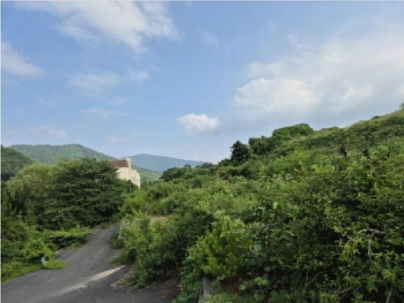 2025타경10576 경상북도 경주시 산내면 대현리 2652-5 임야 경매 이미지