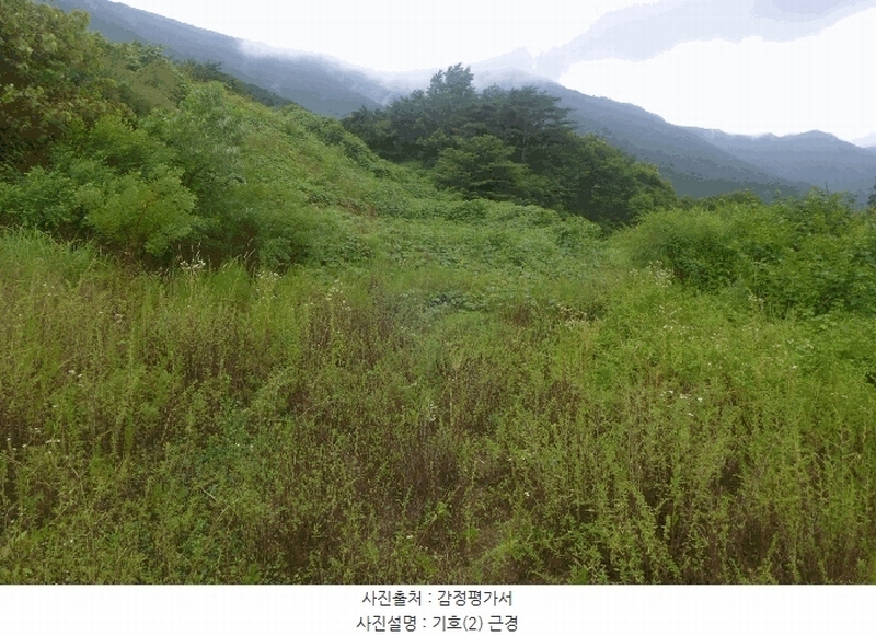 2025타경10576 경상북도 경주시 산내면 대현리 2652-5 임야 경매 이미지