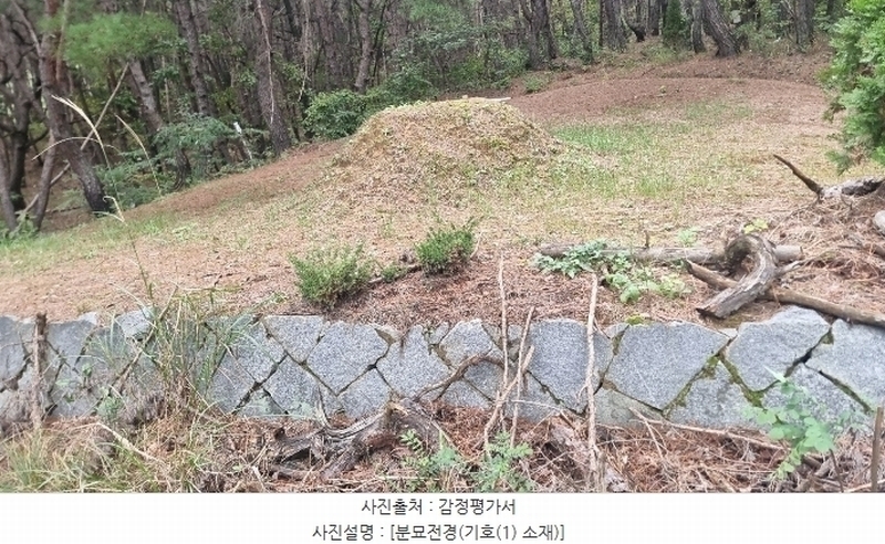 2024타경2684 경상북도 구미시 신동 산8 임야 경매 이미지
