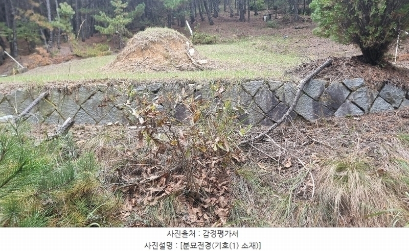 2024타경2684 경상북도 구미시 신동 산8 임야 경매 이미지