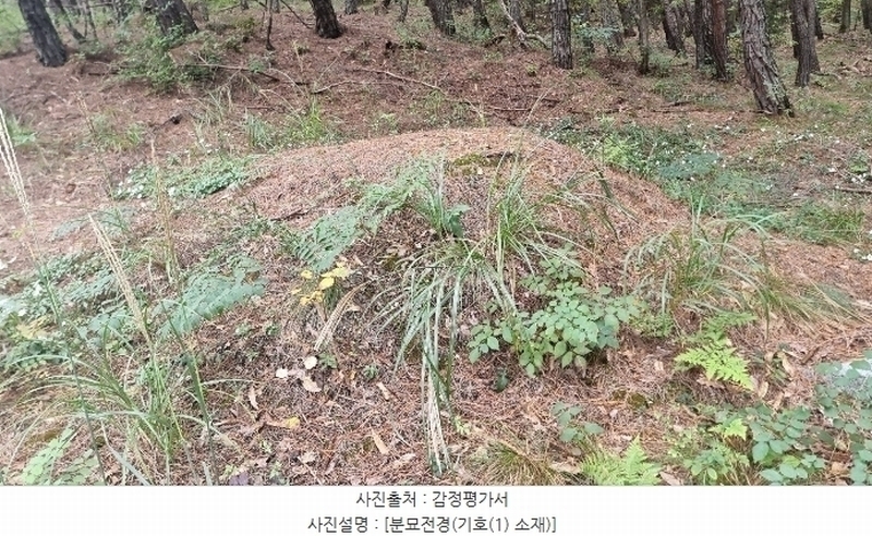 2024타경2684 경상북도 구미시 신동 산8 임야 경매 이미지