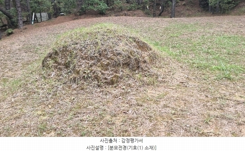 2024타경2684 경상북도 구미시 신동 산8 임야 경매 이미지