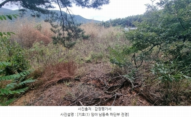 2024타경2684 경상북도 구미시 신동 산8 임야 경매 이미지