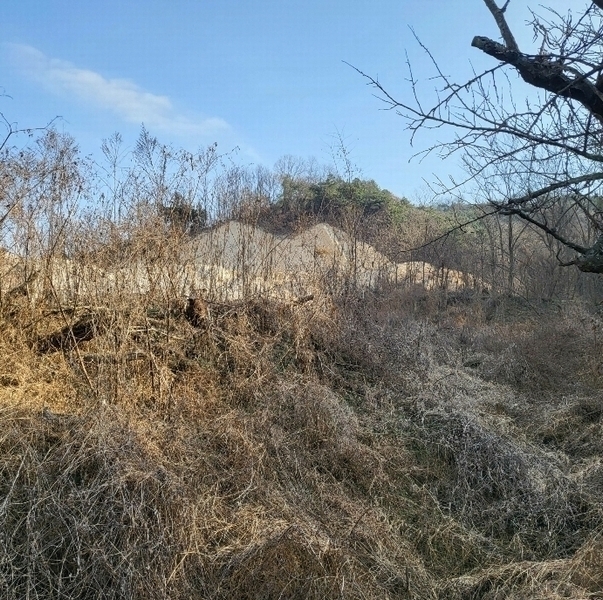 2024타경3243 경상북도 김천시 농소면 연명리 산57-3 임야 경매 이미지