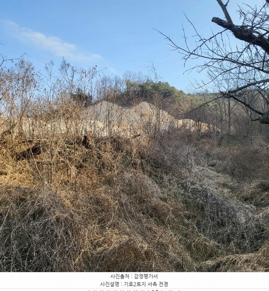 2024타경3243 경상북도 김천시 농소면 연명리 산57-3 임야 경매 이미지