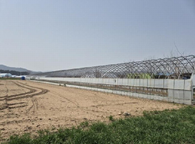 2025타경349 경상북도 울진군 근남면 산포리 892-2 농지 경매 이미지