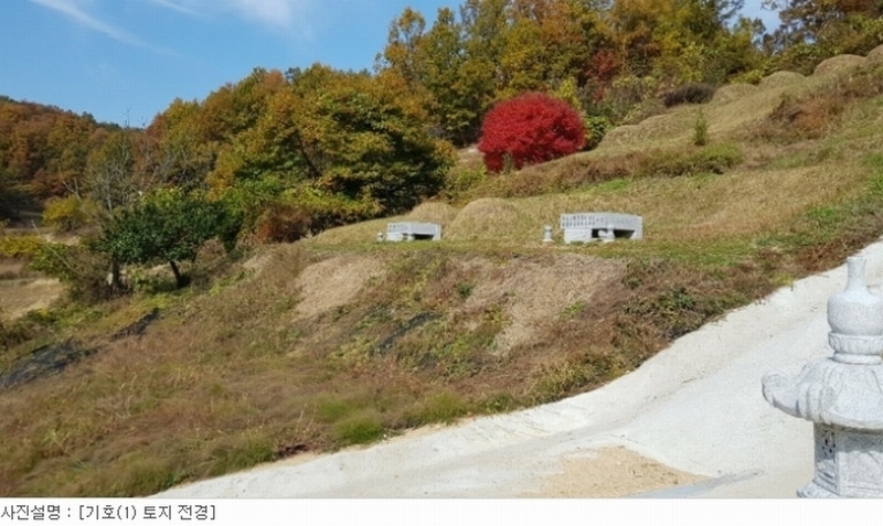 2020타경15040 경상북도 김천시 부항면 대야리 343 농지 경매 이미지