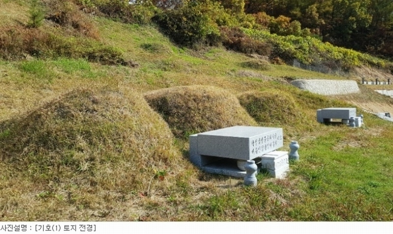 2020타경15040 경상북도 김천시 부항면 대야리 343 농지 경매 이미지