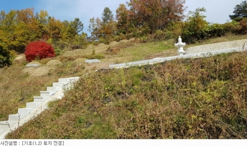 2020타경15040 경상북도 김천시 부항면 대야리 343 농지 경매 이미지