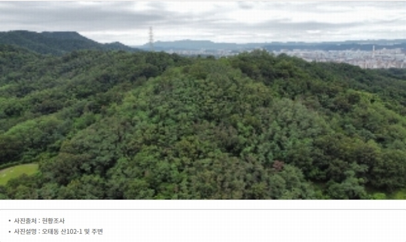 2024타경1964 경상북도 구미시 오태동 산102-1 임야 경매 이미지