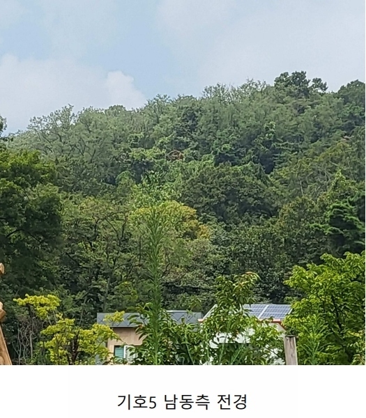 2024타경1964 경상북도 구미시 오태동 산102-1 임야 경매 이미지