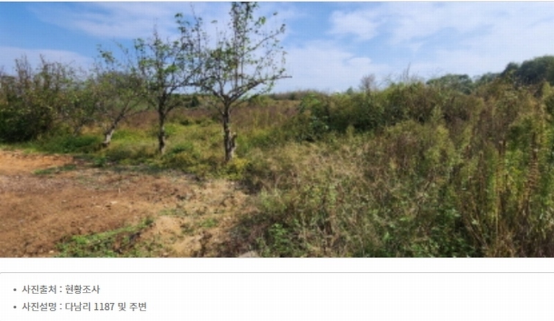 2024타경2707 경상북도 김천시 어모면 다남리 1186 농지 경매 이미지