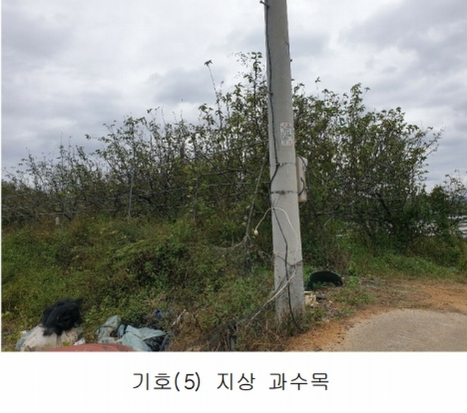 2024타경2707 경상북도 김천시 어모면 다남리 1186 농지 경매 이미지