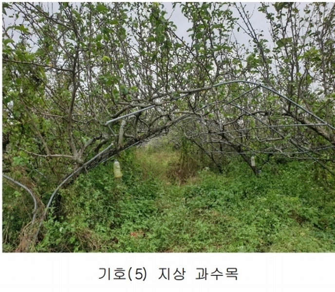 2024타경2707 경상북도 김천시 어모면 다남리 1186 농지 경매 이미지