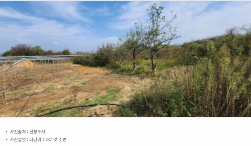 2024타경2707 경상북도 김천시 어모면 다남리 1186 농지 경매 이미지