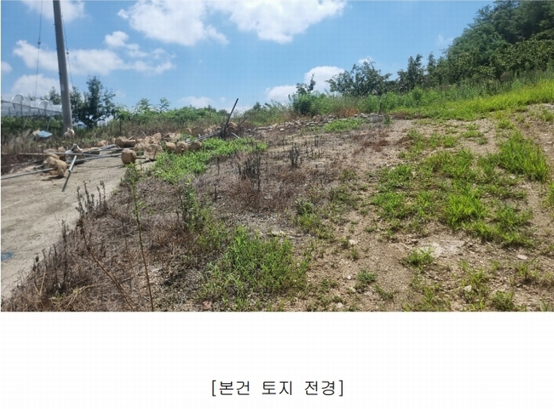 2024타경2707 경상북도 김천시 어모면 다남리 1186 농지 경매 이미지