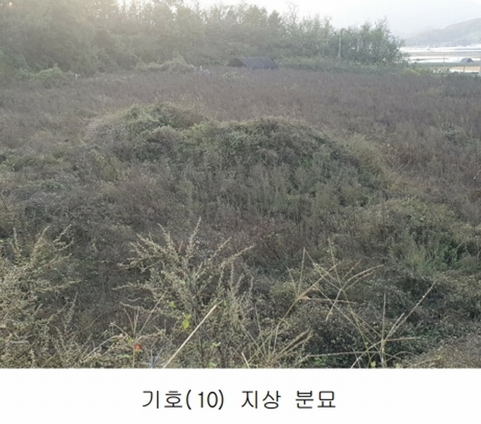 2024타경2707 경상북도 김천시 어모면 다남리 1186 농지 경매 이미지