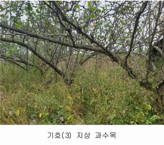 2024타경2707 경상북도 김천시 어모면 다남리 1186 농지 경매 이미지