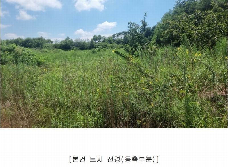 2024타경2707 경상북도 김천시 어모면 다남리 1186 농지 경매 이미지
