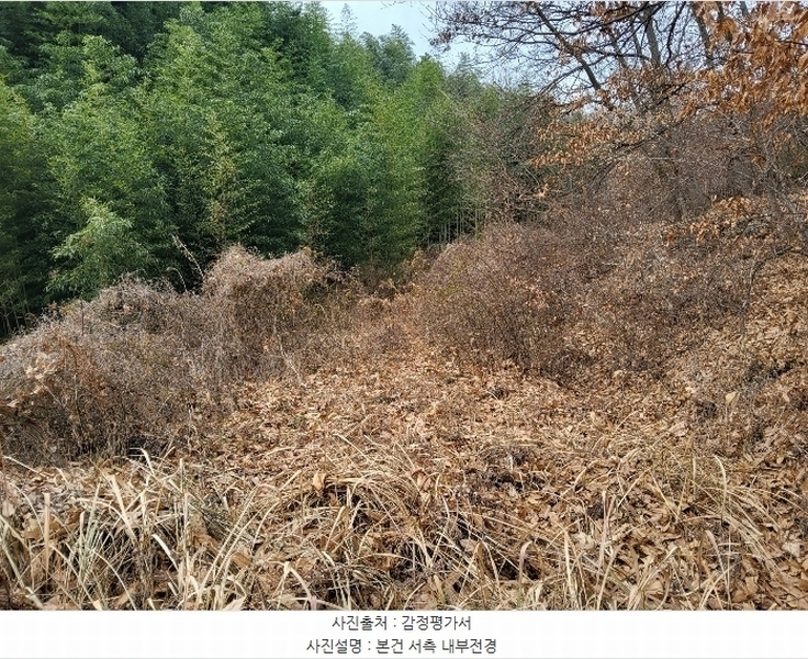 2024타경3458 경상북도 김천시 어모면 중왕리 300 농지 경매 이미지