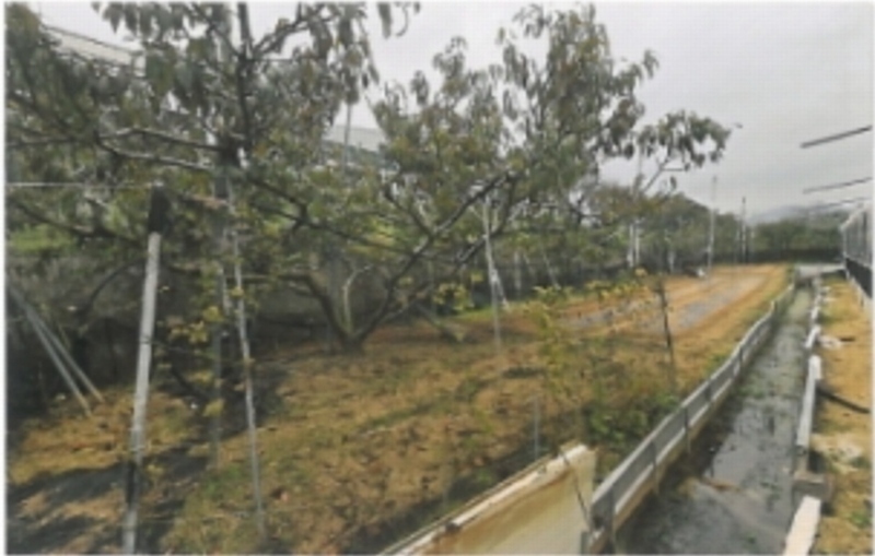2024타경16942 경상북도 김천시 다수동 390-1 농지 경매 이미지