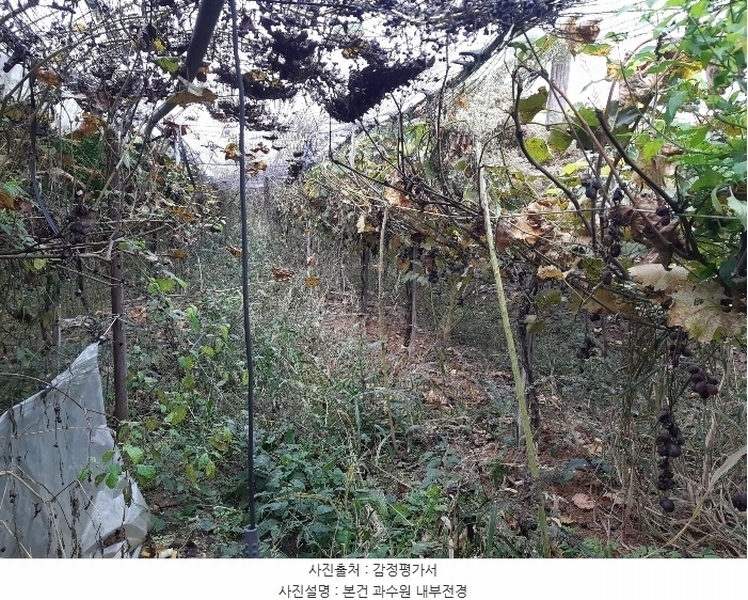 2024타경16942 경상북도 김천시 다수동 390-1 농지 경매 이미지