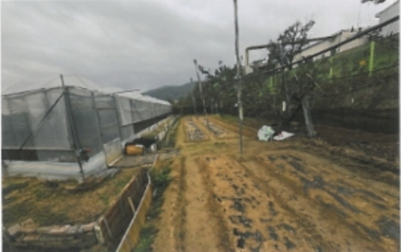 2024타경16942 경상북도 김천시 다수동 390-1 농지 경매 이미지