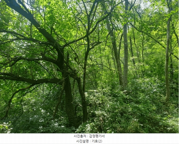 2024타경17655 경상북도 구미시 장천면 명곡리 677 농지 경매 이미지