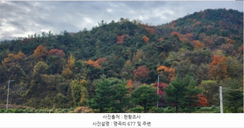 2024타경17655 경상북도 구미시 장천면 명곡리 677 농지 경매 이미지