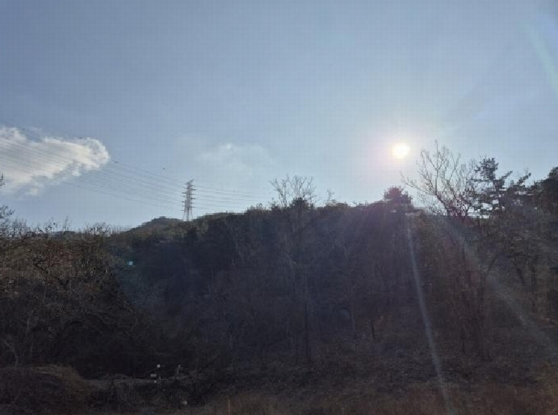 2025타경305 울산광역시 북구 매곡동 산145-3 임야 경매 이미지