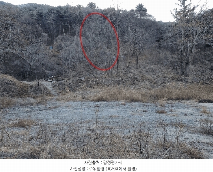 2025타경305 울산광역시 북구 매곡동 산145-3 임야 경매 이미지
