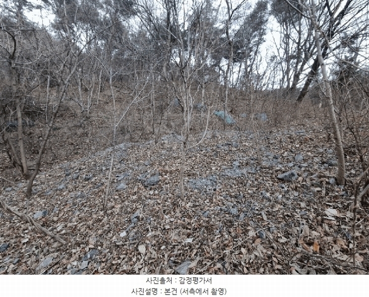 2025타경305 울산광역시 북구 매곡동 산145-3 임야 경매 이미지