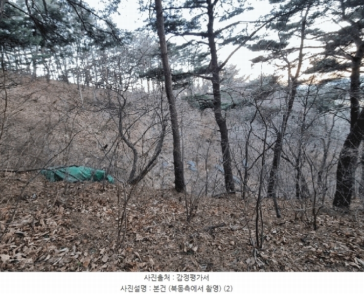 2025타경305 울산광역시 북구 매곡동 산145-3 임야 경매 이미지