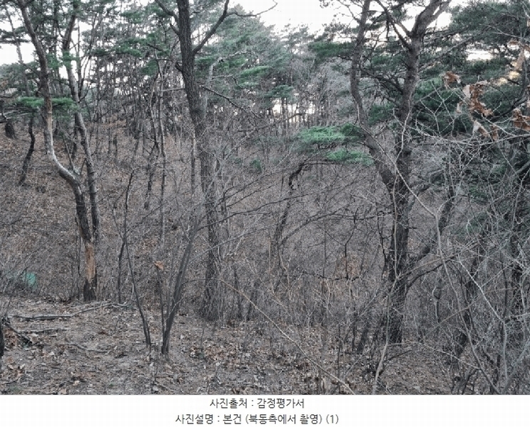2025타경305 울산광역시 북구 매곡동 산145-3 임야 경매 이미지