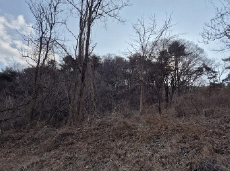 2025타경305 울산광역시 북구 매곡동 산145-3 임야 경매 이미지
