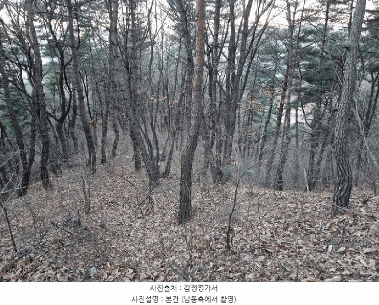 2025타경305 울산광역시 북구 매곡동 산145-3 임야 경매 이미지
