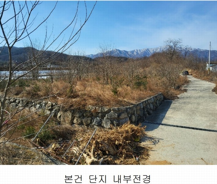 2025타경10675 경상북도 김천시 대항면 덕전리 1118 임야 경매 이미지