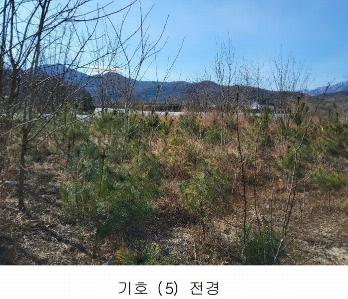 2025타경10675 경상북도 김천시 대항면 덕전리 1118 임야 경매 이미지