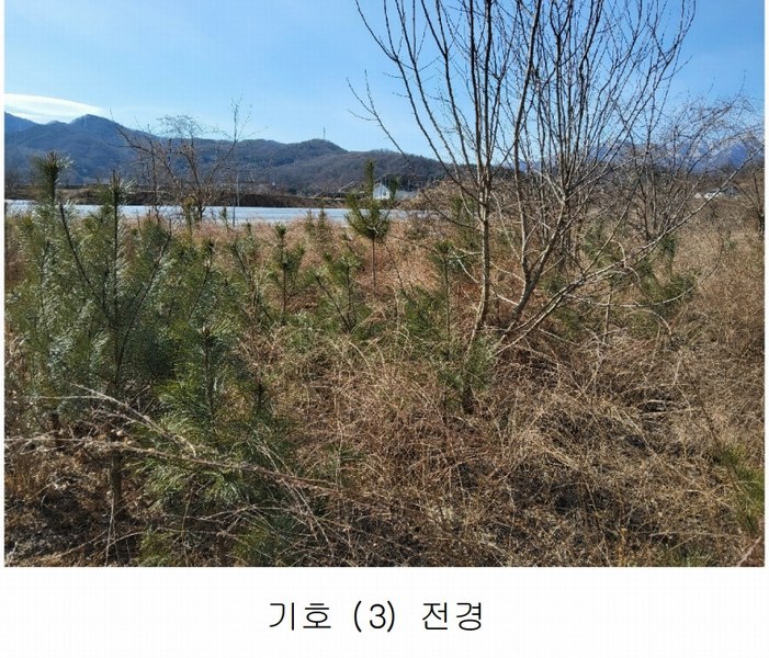 2025타경10675 경상북도 김천시 대항면 덕전리 1118 임야 경매 이미지