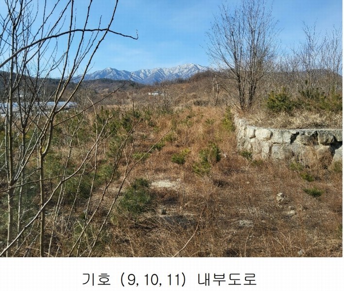 2025타경10675 경상북도 김천시 대항면 덕전리 1118 임야 경매 이미지
