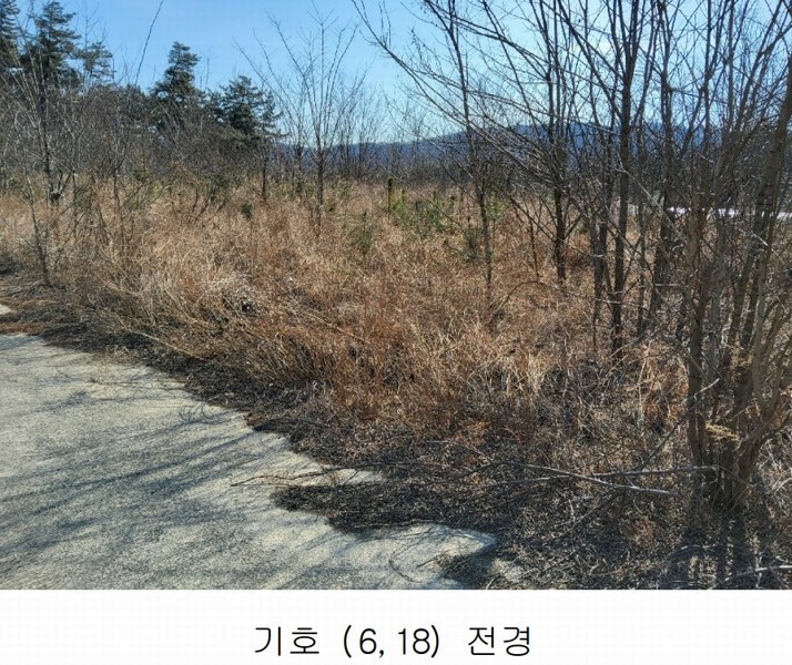 2025타경10675 경상북도 김천시 대항면 덕전리 1118 임야 경매 이미지